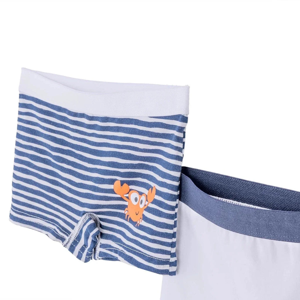 HelloBaby Boys Knickers Striped - Navy Blue