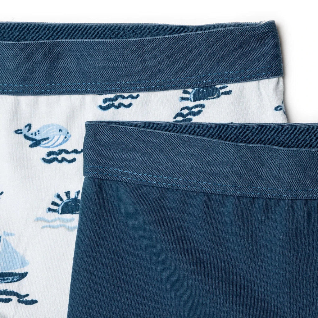HelloBaby Baby Boy Briefs - Blue Printed