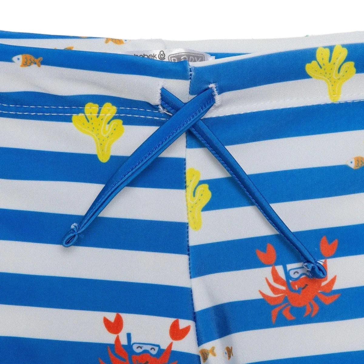 HelloBaby Boy Swim Shorts - Blue