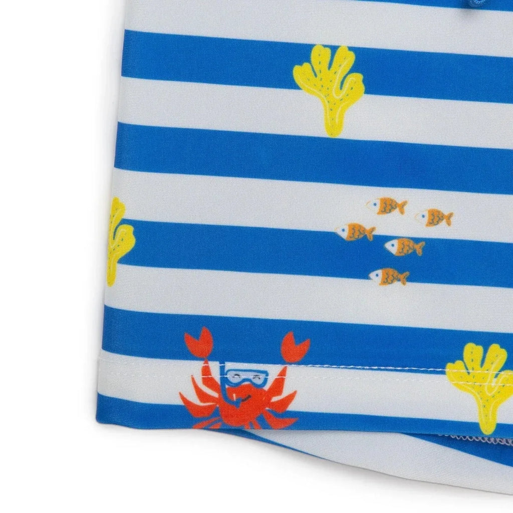 HelloBaby Boy Swim Shorts - Blue