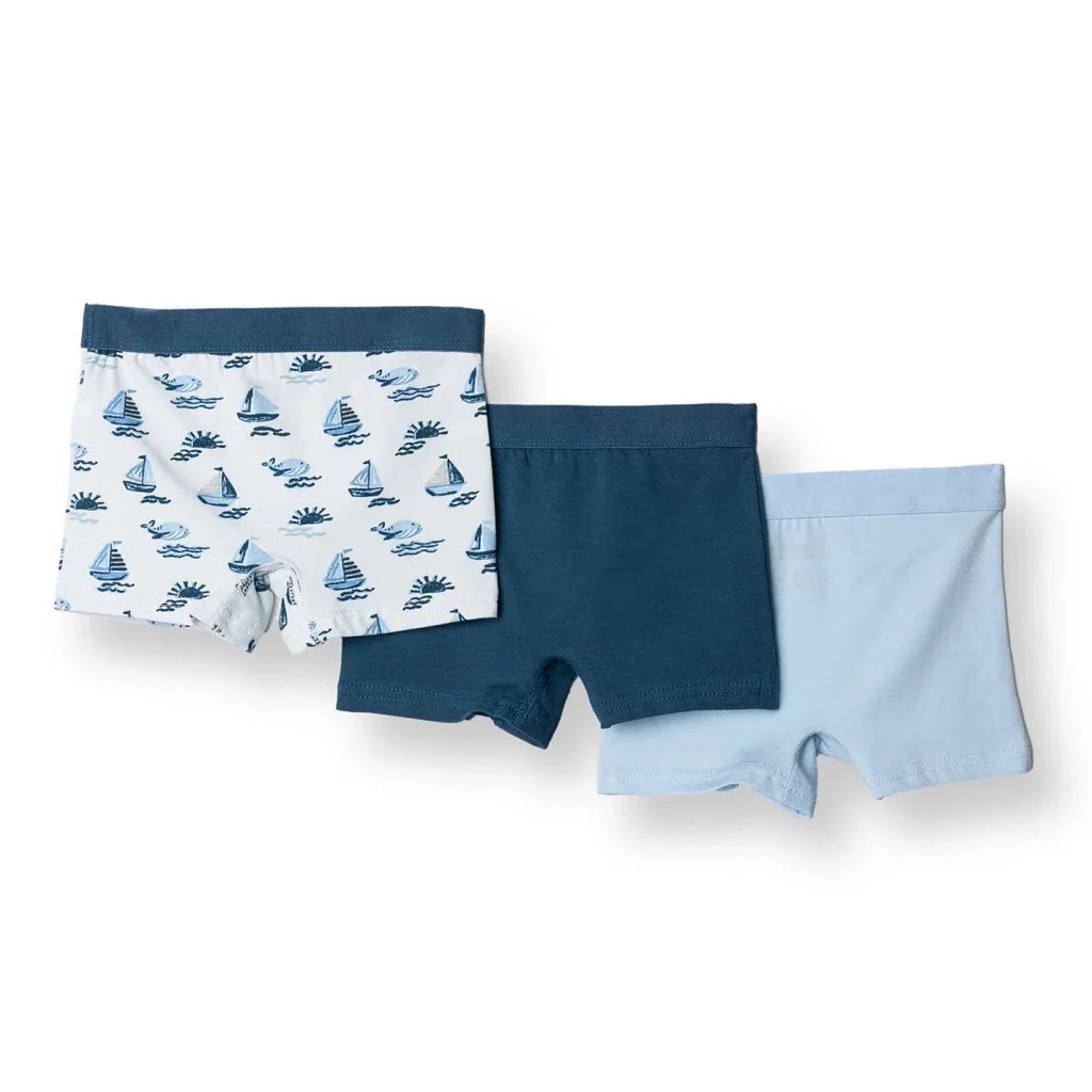 HelloBaby Baby Boy Briefs - Blue Printed