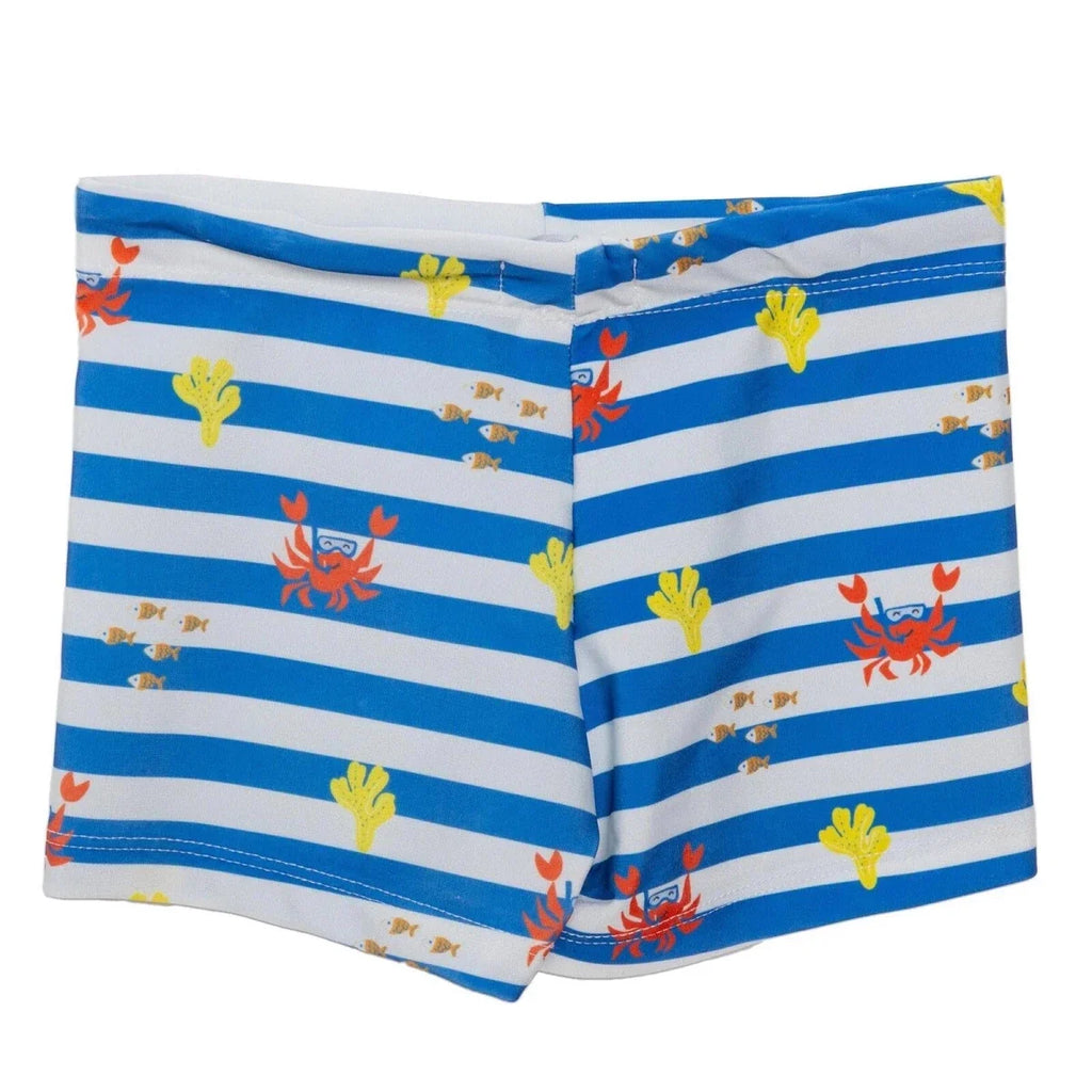 HelloBaby Boy Swim Shorts - Blue