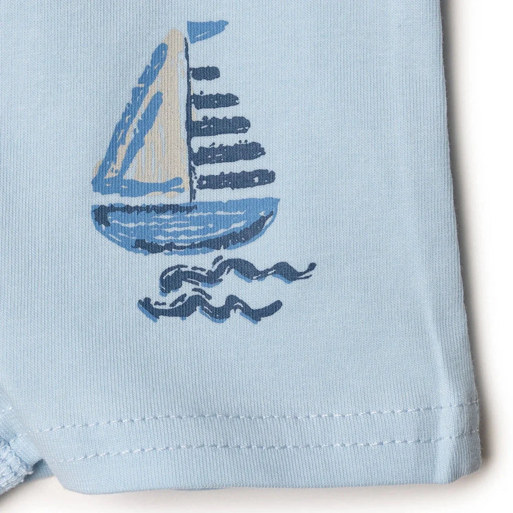 HelloBaby Baby Boy Briefs - Blue Printed